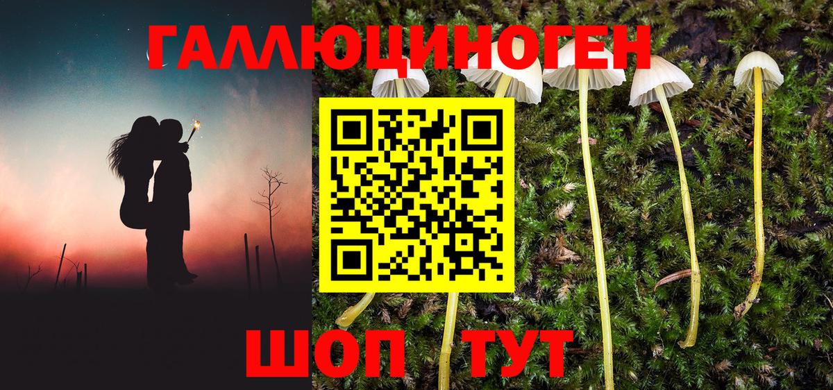Псилоцибиновые грибы GOLDEN TEACHER  Псилоцибиновые грибы прущие грибы  Вход с VPN  Дубна 